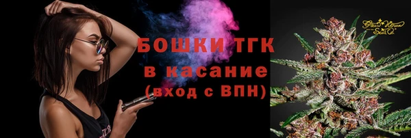 хмурый Лиски