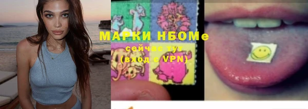 хмурый Лиски