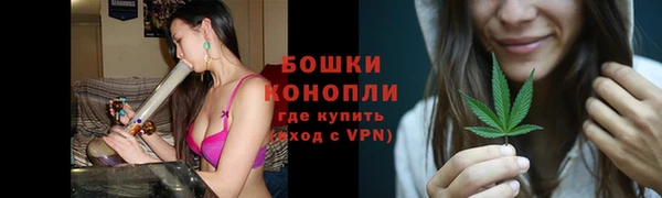 метадон Туринск